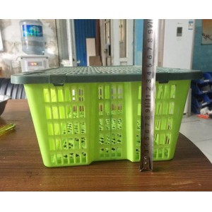 荔枝筐 桂圓筐 大蒜筐 葡萄筐 草莓筐 一次性水果筐